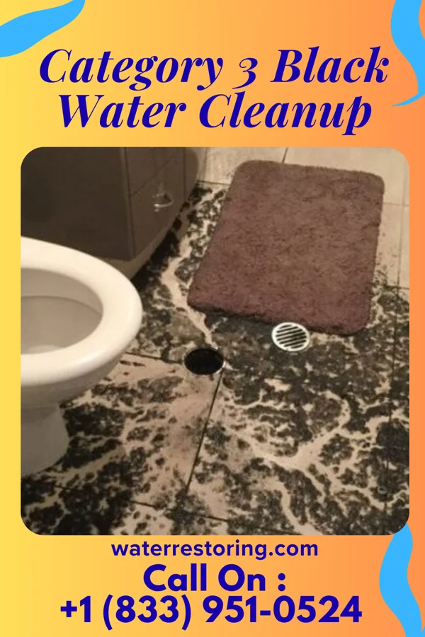 Category 3 Black Water Cleanup in Kirtland Hills, OH