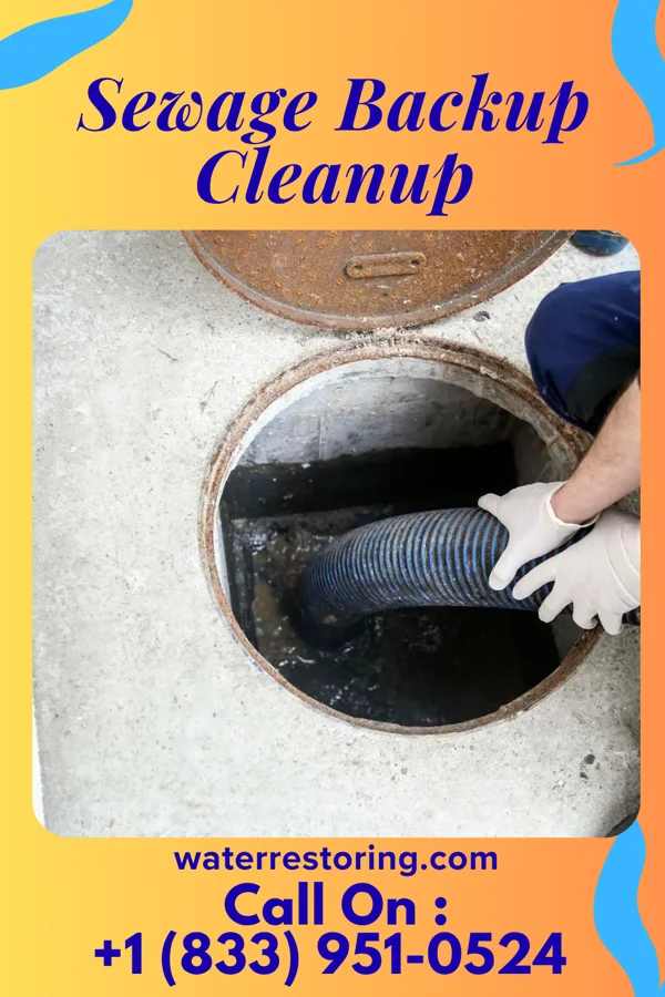 Sewage Backup Cleanup in Kirtland Hills, OH
